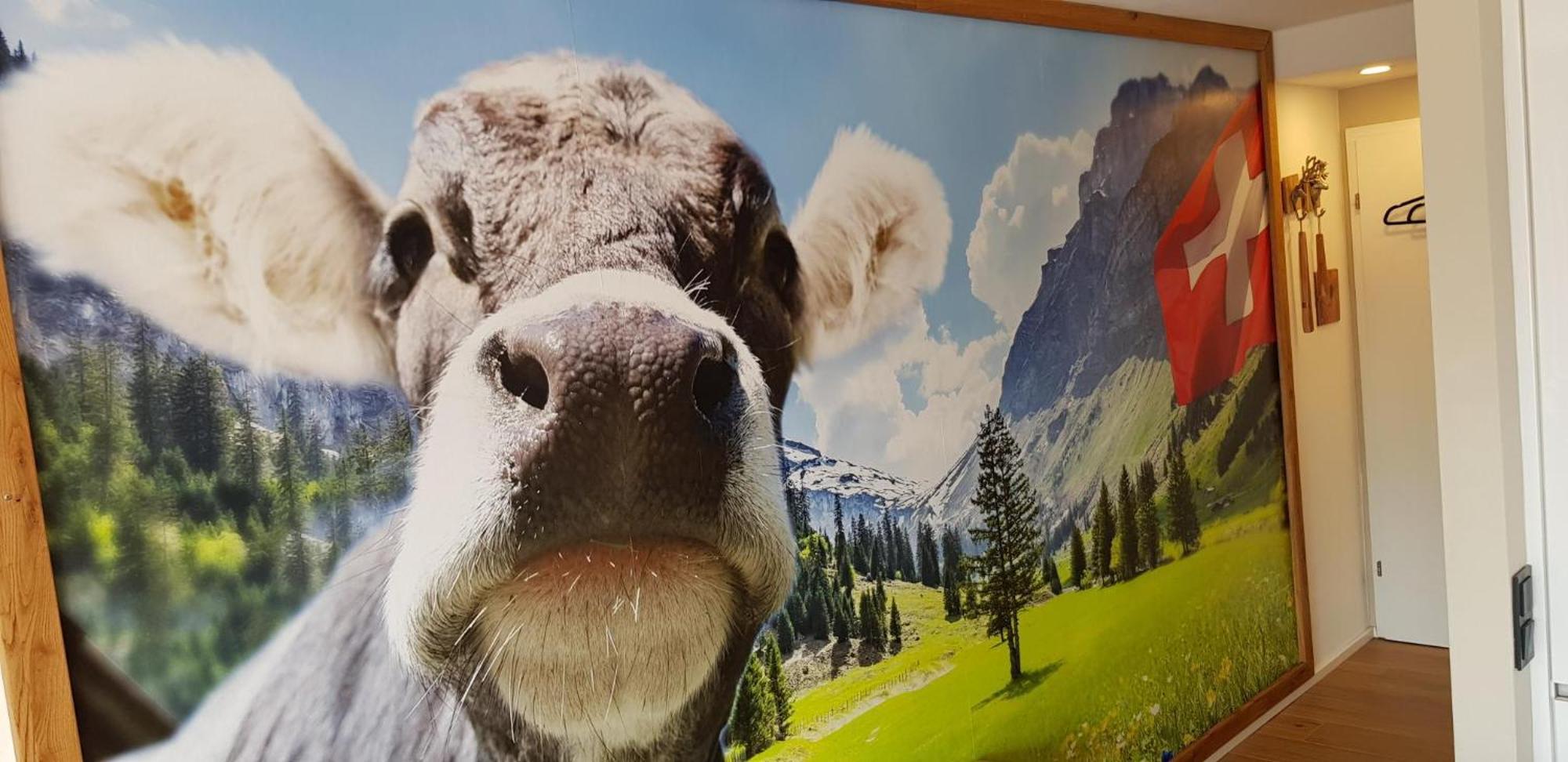 Almi - Alpenglueck Traumhafte Whg.M.20Qm Dachterr. Apartment Oberstaufen Bagian luar foto